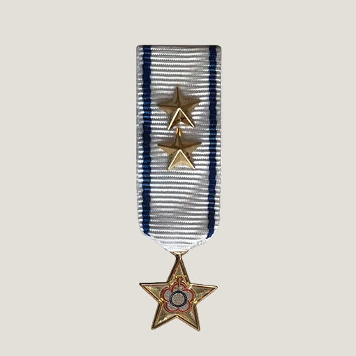 Miniatyrmedalj (CISM SSMDGS)