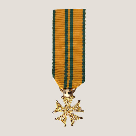 Miniatyrmedalj (NED NijBK)