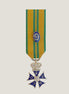 Miniatyrmedalj (NED NijSKmkr9)